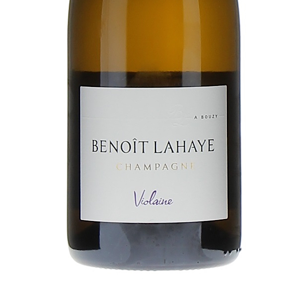 Benoit Lahaye Violaine