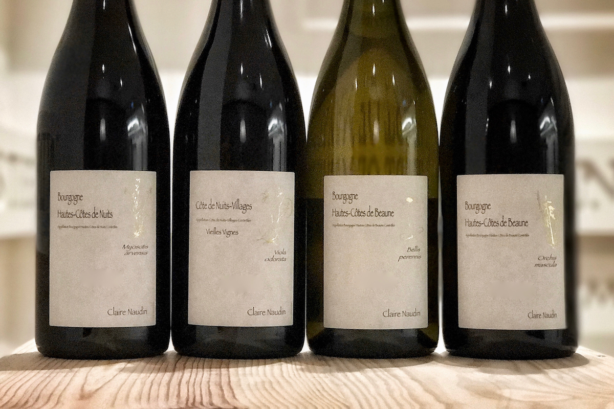 Burgundy 2016: Claire Naudin (Domaine Naudin-Ferrand)