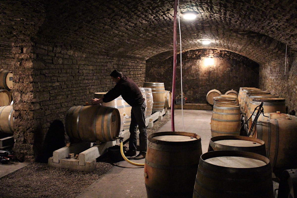 Cellar_of_Marchand-Tawse