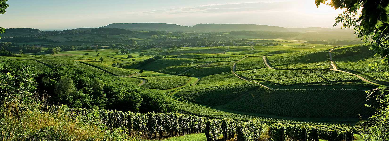 Beautiful Jura landscape