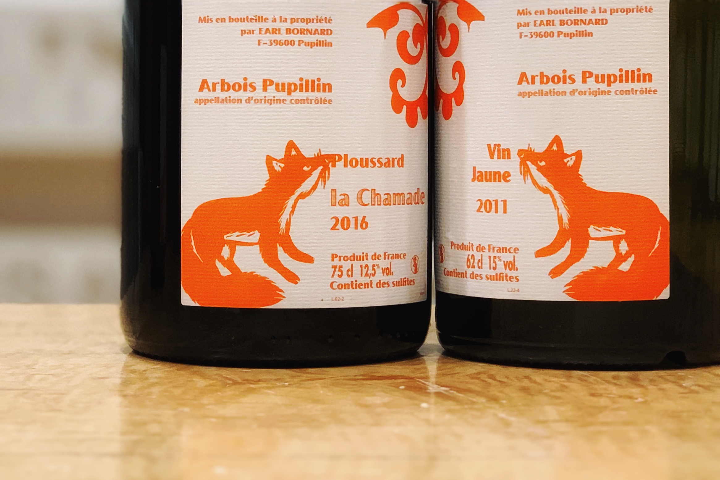 The-famous-orange-fox-of-Philippe-Bornard