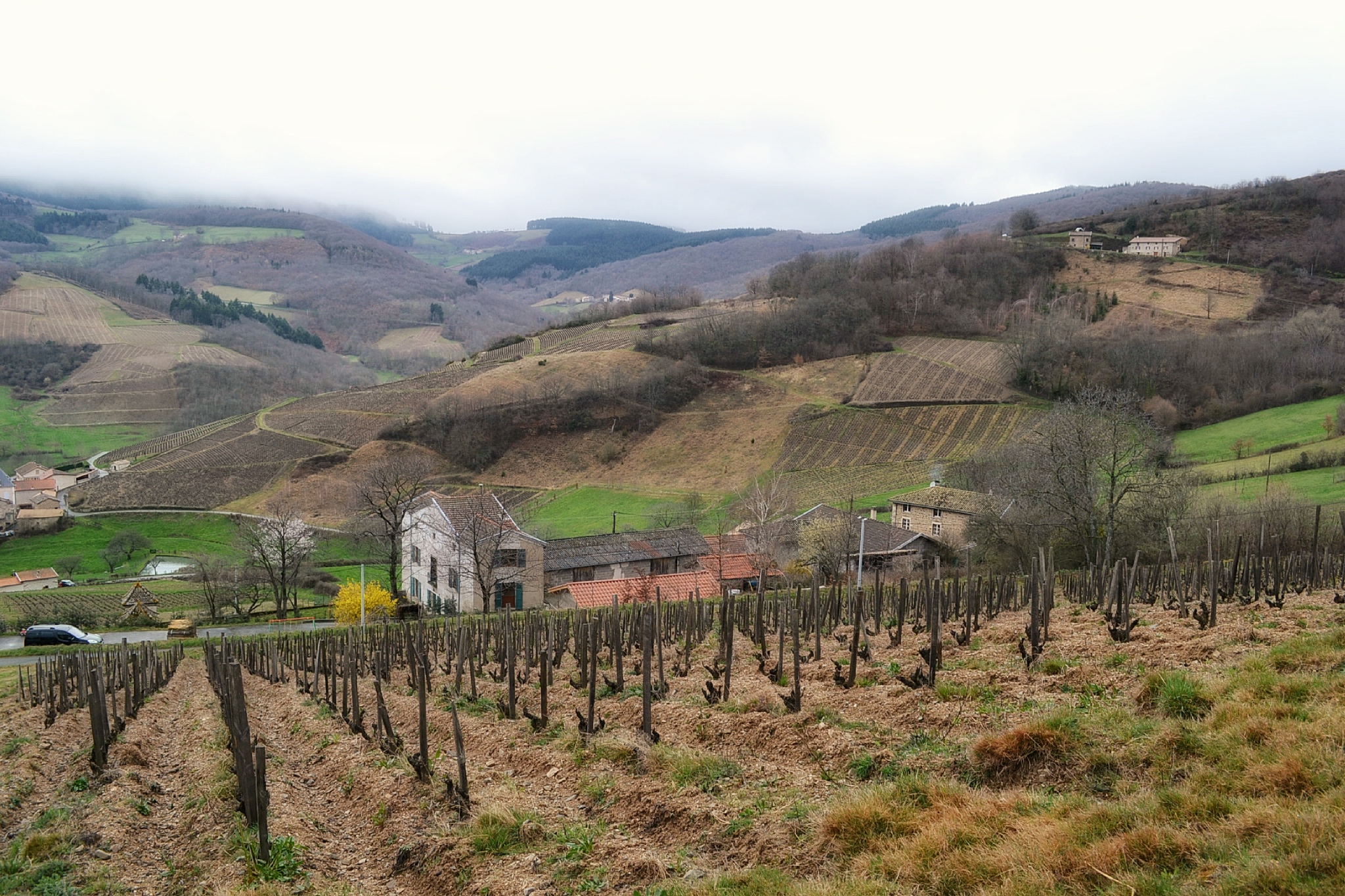 Herve-Ravera's-high-altitude-vineyard-in-Marchampt_(photo:_Pipette-blog)