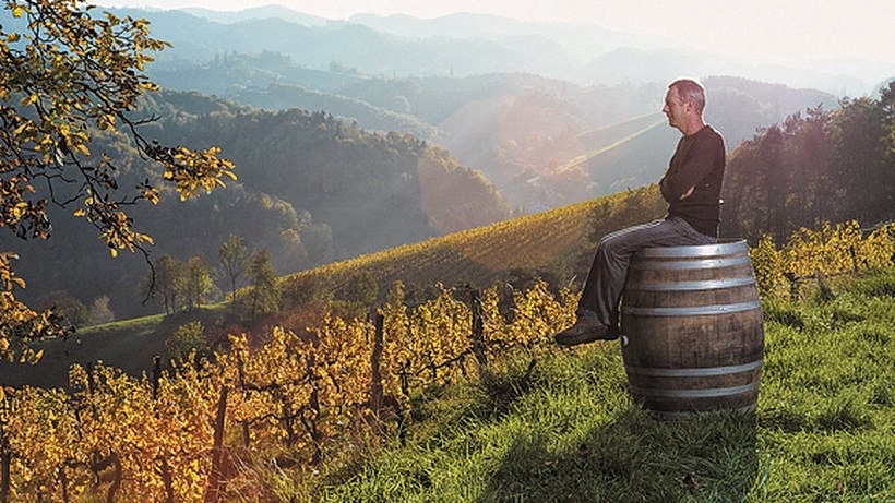 Andreas_Tscheppe_overlooks_his_garden_vineyards