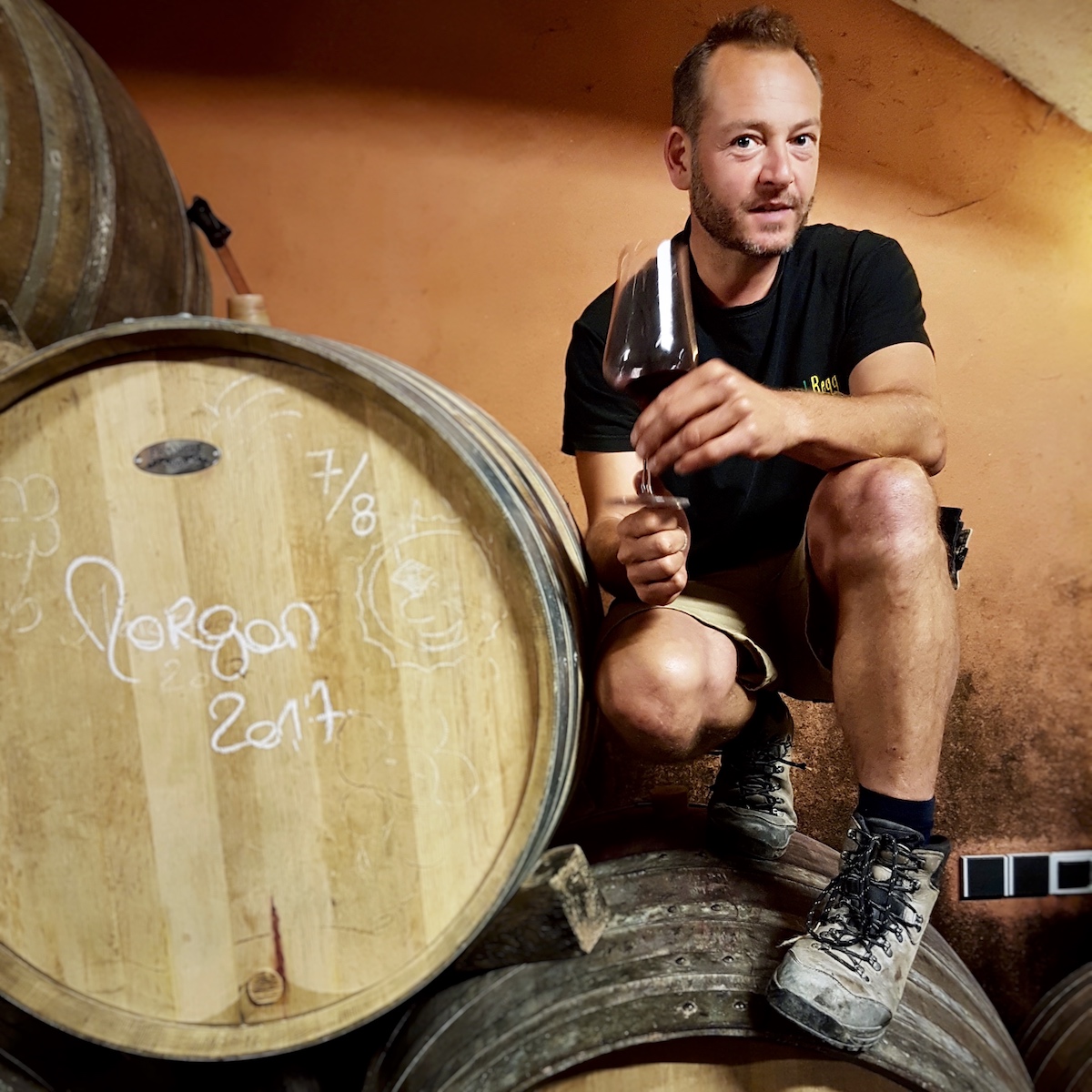 Julien_Guillot_barrel_tasting_at_the_domaine