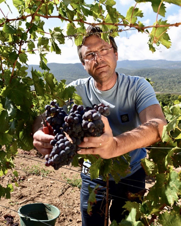 Yves_Canarelli_in_his_vineyard