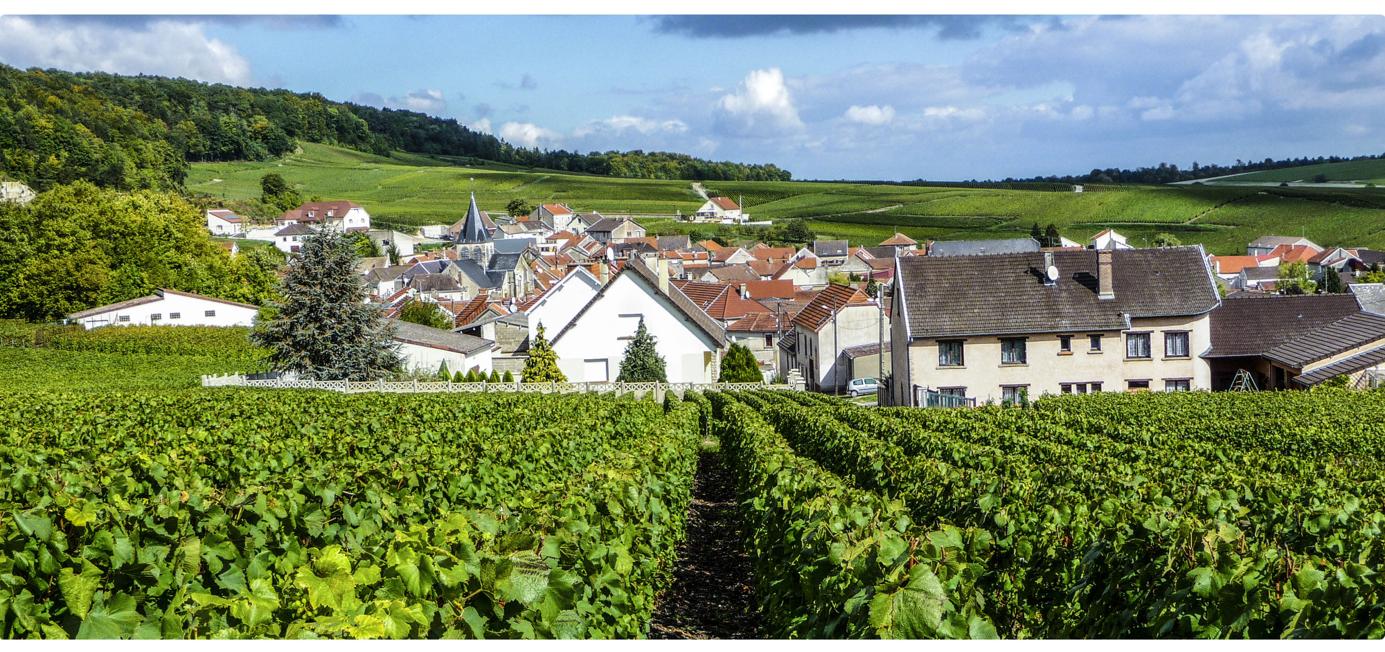 Vineyards_in_Trepail_and_the_village_(photo:_portraitdebulles.com)