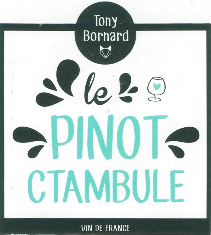 Tony_Bornard_Pinotctambule_2016