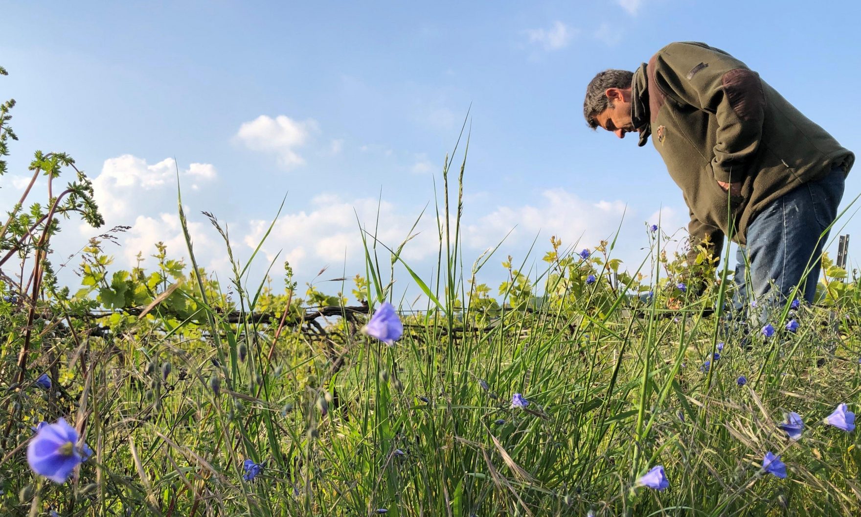 Benoit_working_the_land