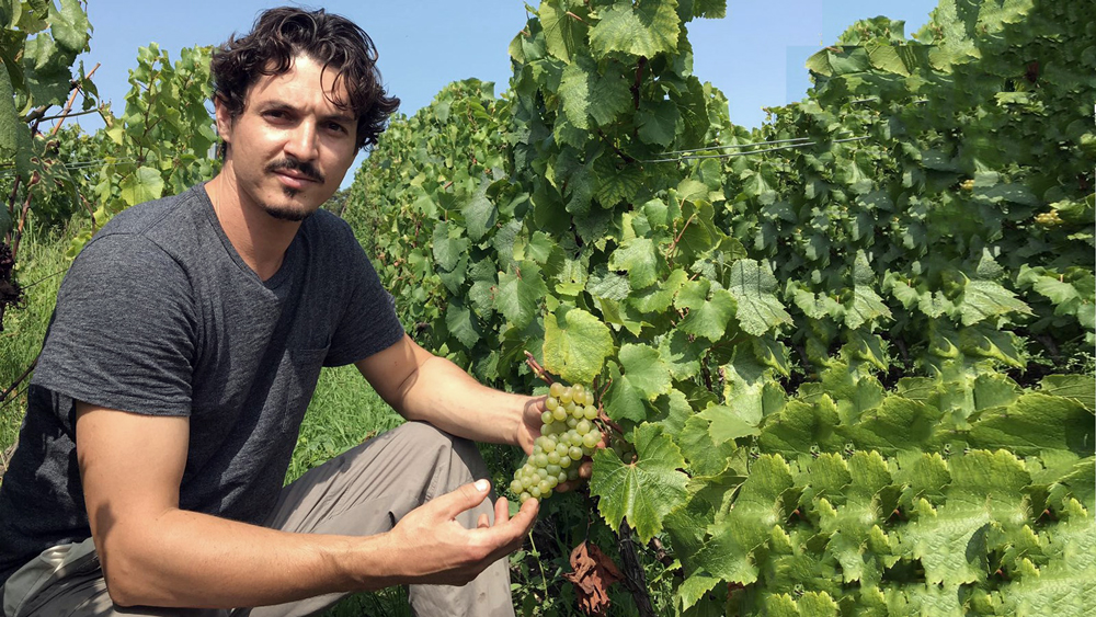 Cyril_Bonnet_in_the_vineyard_(photo:_Loegismose)